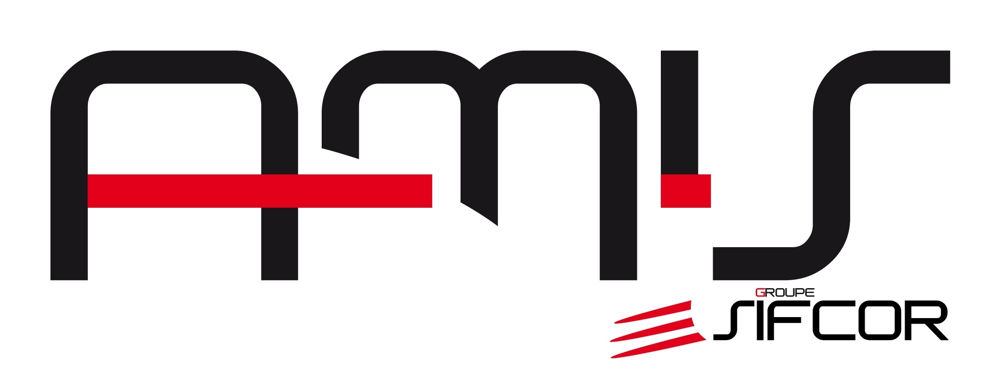AMIS_COUL.jpg